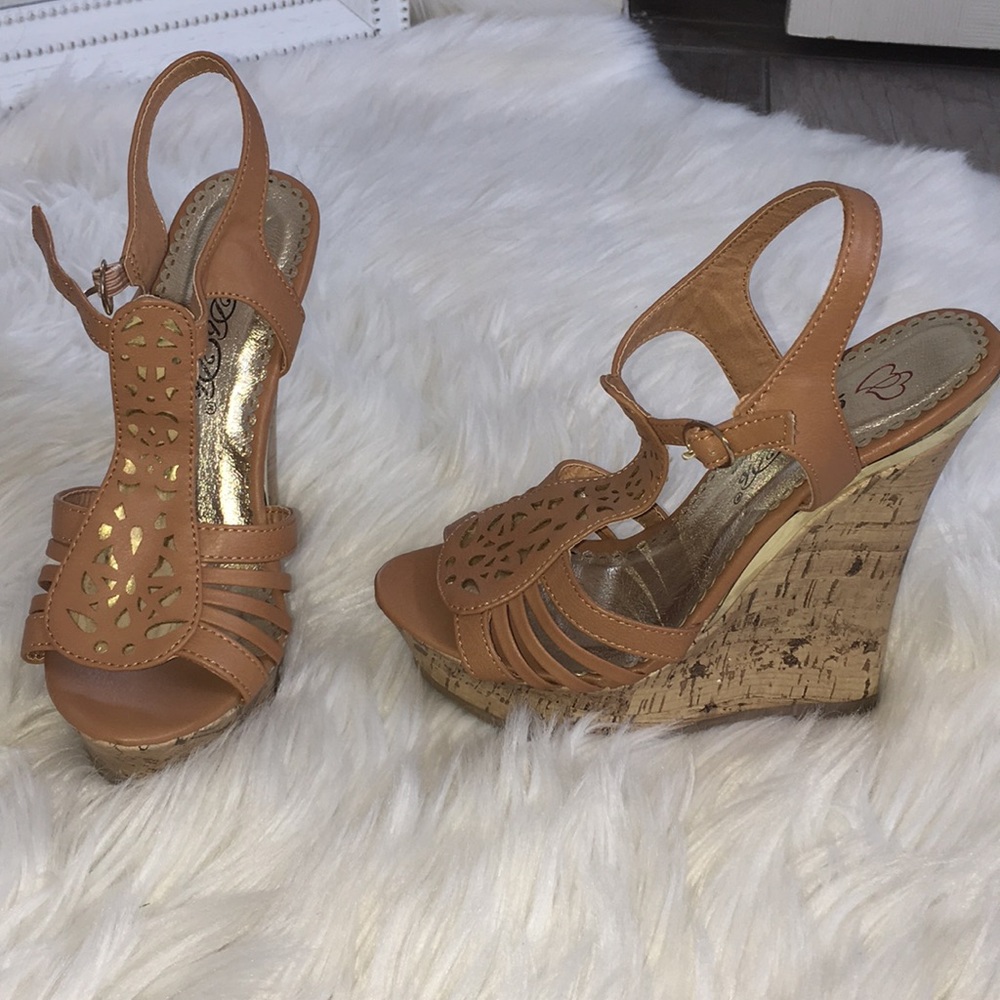 DbDk wedge